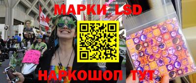 индика Рыбинск