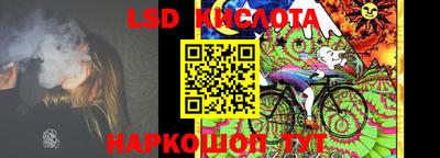 индика Рыбинск