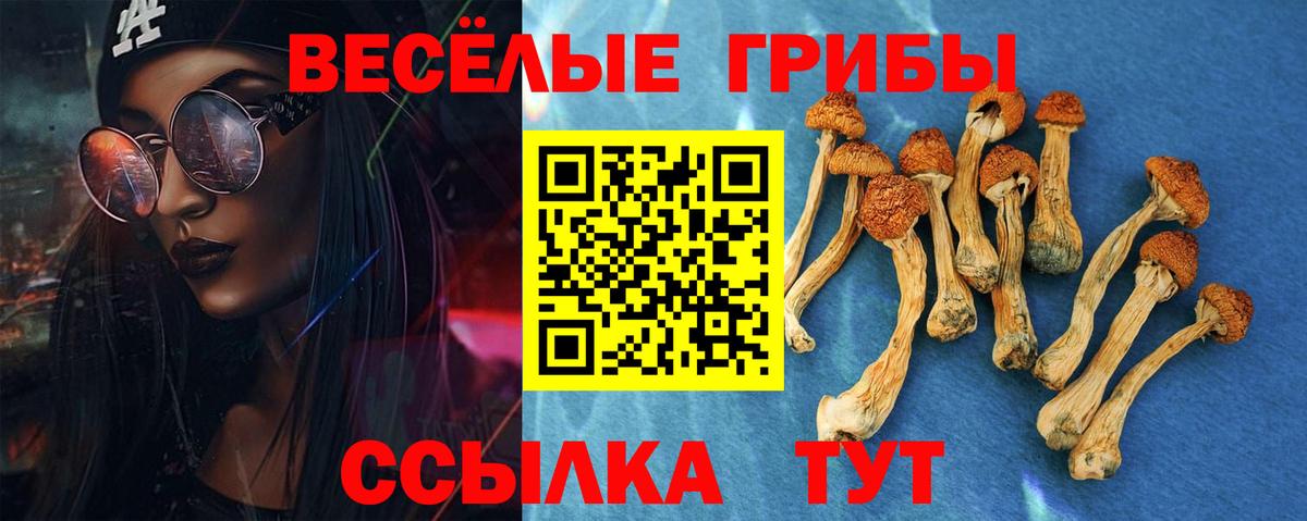 Семилуки  Галлюциногенные грибы ЛСД  Вход с VPN 
