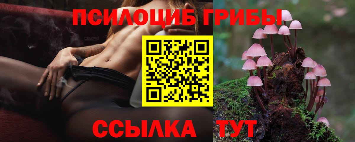 Псилоцибиновые грибы GOLDEN TEACHER Семилуки